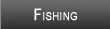 Beaver Lake Fishing